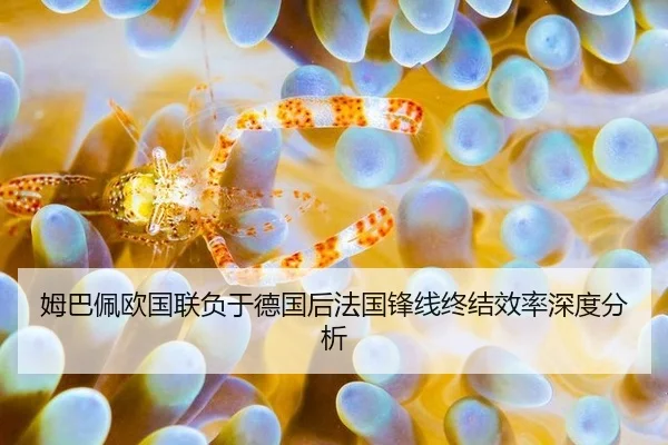 mu-ba-pei-ou-guo-lian-fu-yu-de-guo-hou-fa-guo-feng-xian-zhong-jie-xiao-lv-shen-du-fen-xi-2-128.jpg